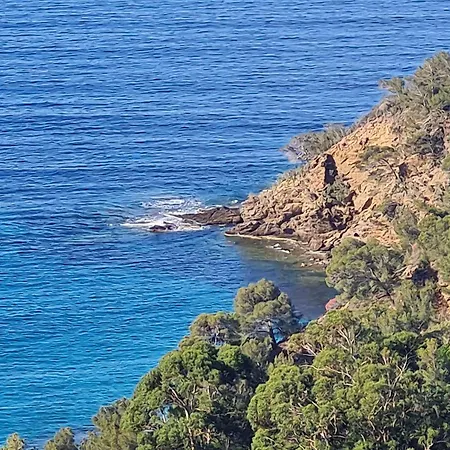 2p Avec Jardin, Piscine, Parking Et Navettes Gratuites - - Fr-1-226b-196 Apartmán Cavalaire-sur-Mer